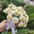 【新手福音】?超简单的( 小雏菊 )编织教程！“送你一束洋甘菊，在春末初夏的微风里”~