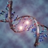 【MIT麻省理工精品课程】分子生物学系列第一部分：DNA复制与修复【全中英字幕】