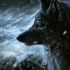 Most Epic Music Ever׃ The Wolf And The Moon
