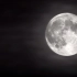 【空镜头】月球月亮皎洁黑白 素材分享