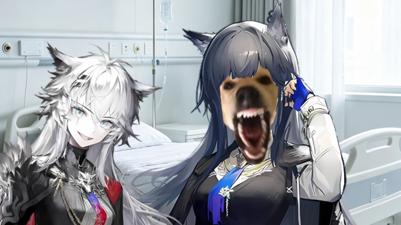 诶😮？大狗🤪？