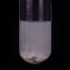 九年级人教版化学上册教学视频1.1 石灰石与盐酸反应