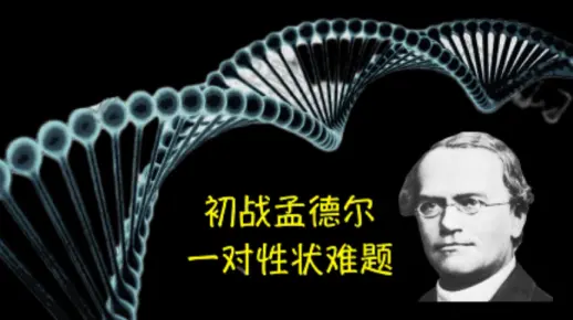 ［高一生物］速通一对性状遗传的难题