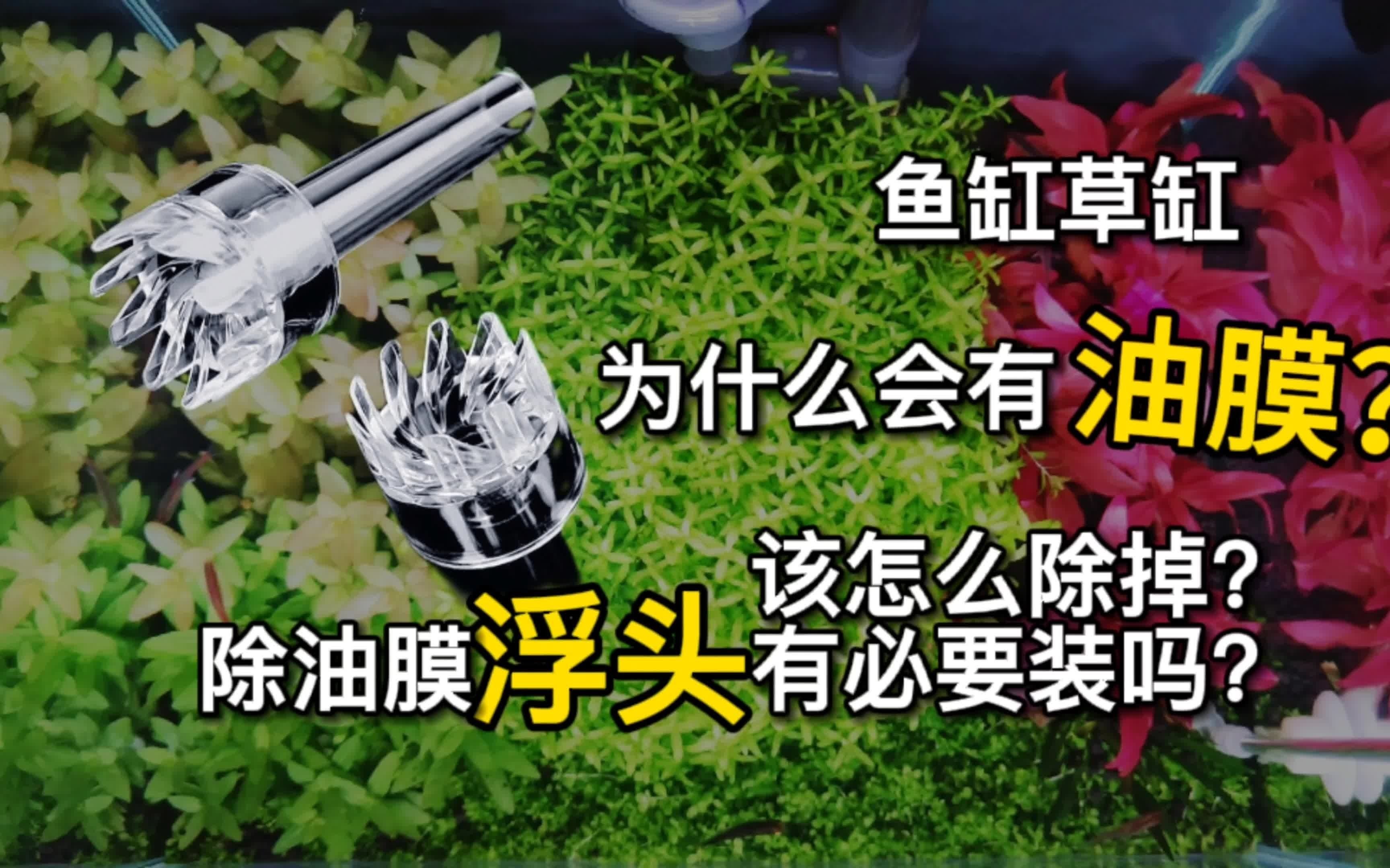 鱼缸油膜产生原因及处理方法，除油膜浮头有必要安装吗？