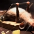 【万恶之源】这就是那只传说中的大力老鼠原版视频！用老鼠夹当健身器！