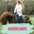 葱葱绿绿的树林，一个外国美女在骑马奔驰