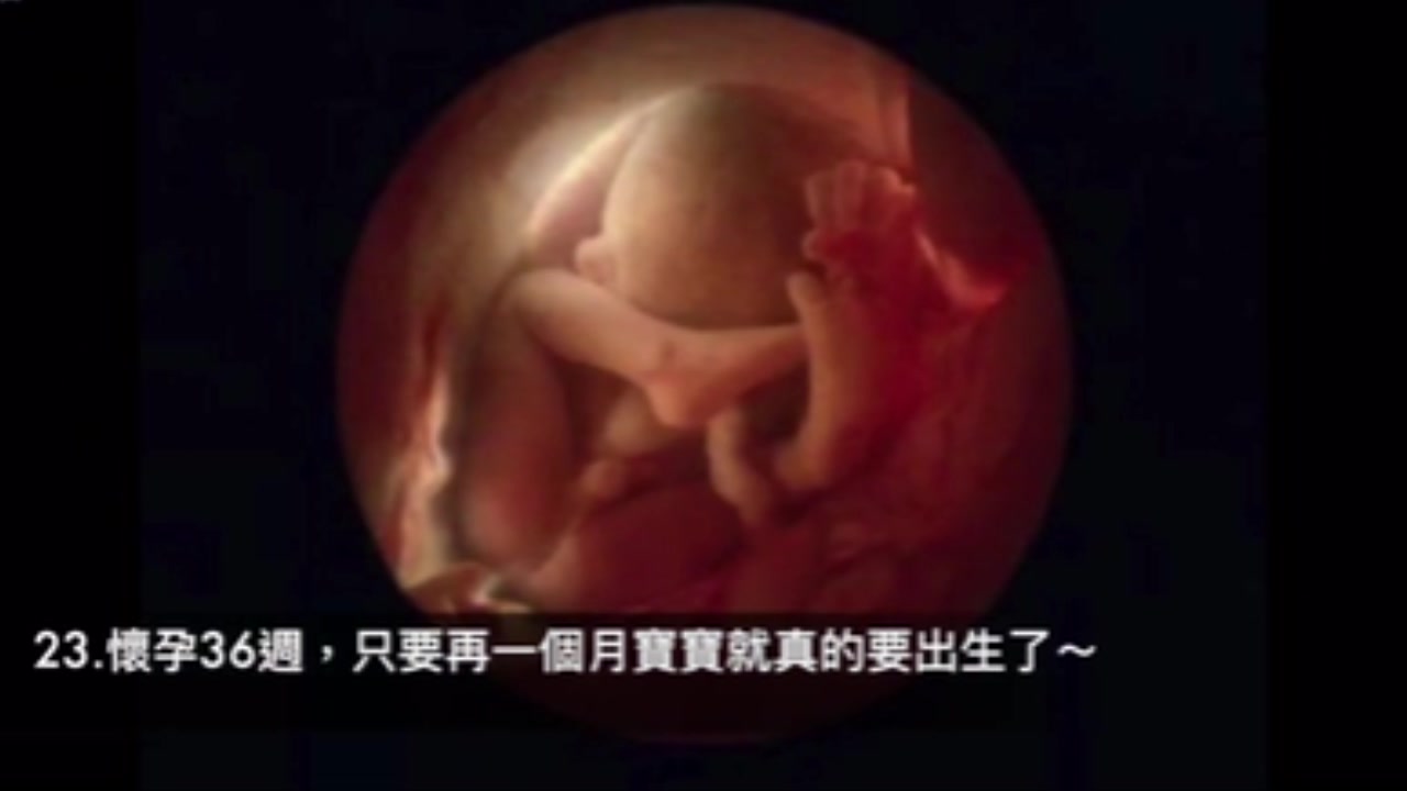 摄影师花12年拍下“宝宝在子宫发育过程”震撼人心，第16周「血管清晰可见」秒懂生命奥妙！