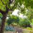 【白噪音】【学习向】【放松】大自然丨罗马的乡村后花园