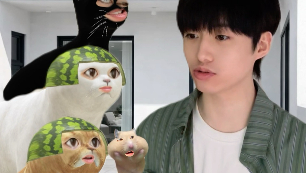 猫咪抓老鼠，猫和老鼠谁更团队？