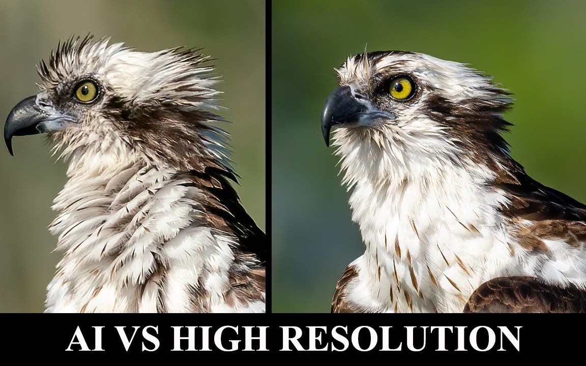 您需要高分辨率相机吗？佳能R5和佳能R6像素成像对比