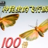 【肆养_频道】把 11 种昆虫的飞行瞬间放慢 100 倍！解密振翅飞行的奥秘