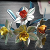 缠花水仙，来交作业啦