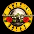 【Guns N' Roses】 枪炮与玫瑰 MV整合（高清/持续更新）