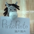 《斑马斑马》英文版 Pinto Pinto