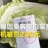 大巴车乘客 带白菜萝卜 被罚款200元: 暂停民警执法工作