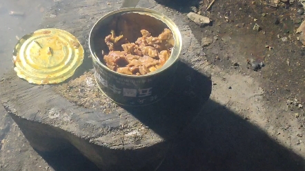 国产牛肉干罐头，比较稀有