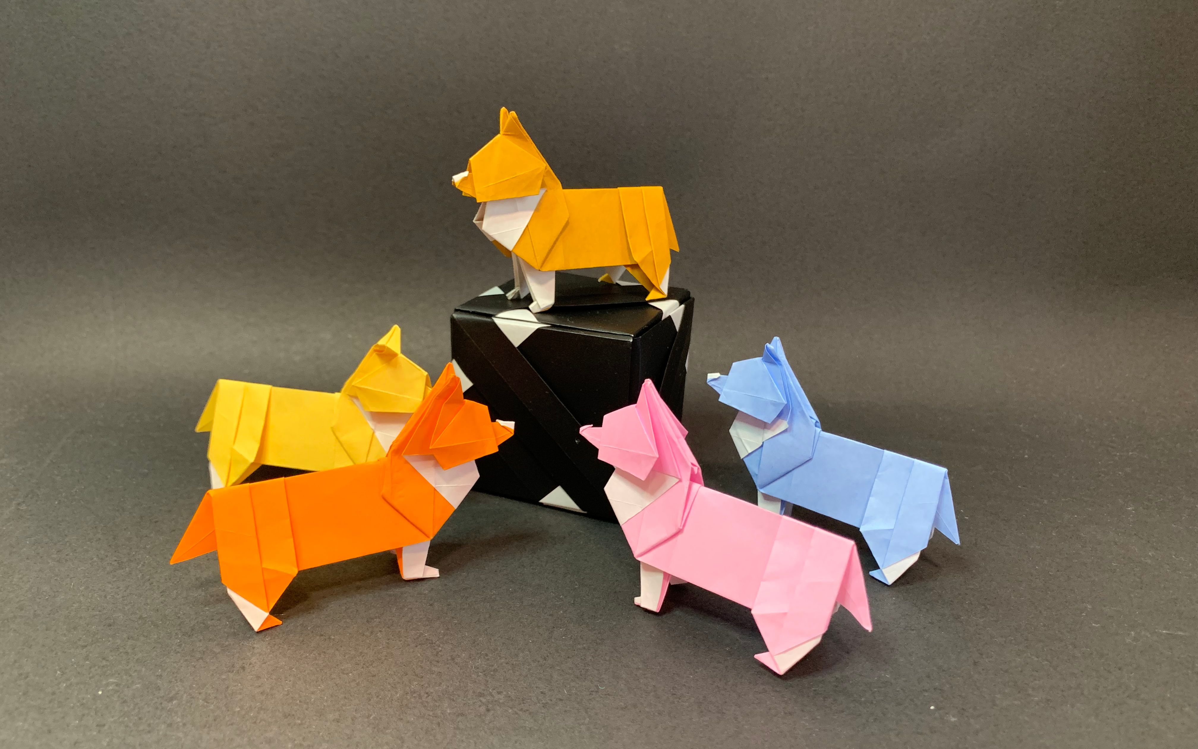 【折纸教程】简单的可爱小狗 - 知乎
