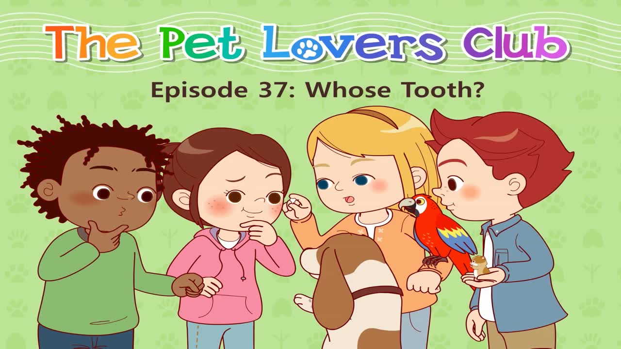 level 3【48集全】07 The Pet Lovers Club  Little Fox哔哩哔哩bilibili