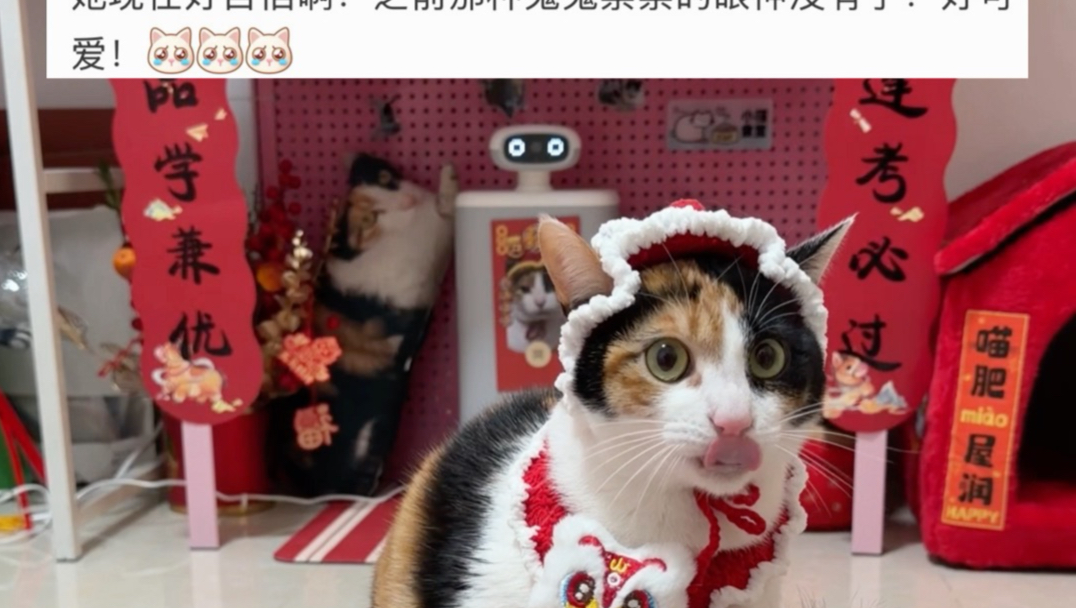 依旧鬼鬼祟祟