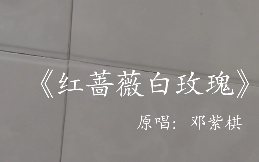 13岁初中生厕所翻唱《红蔷薇白玫瑰》