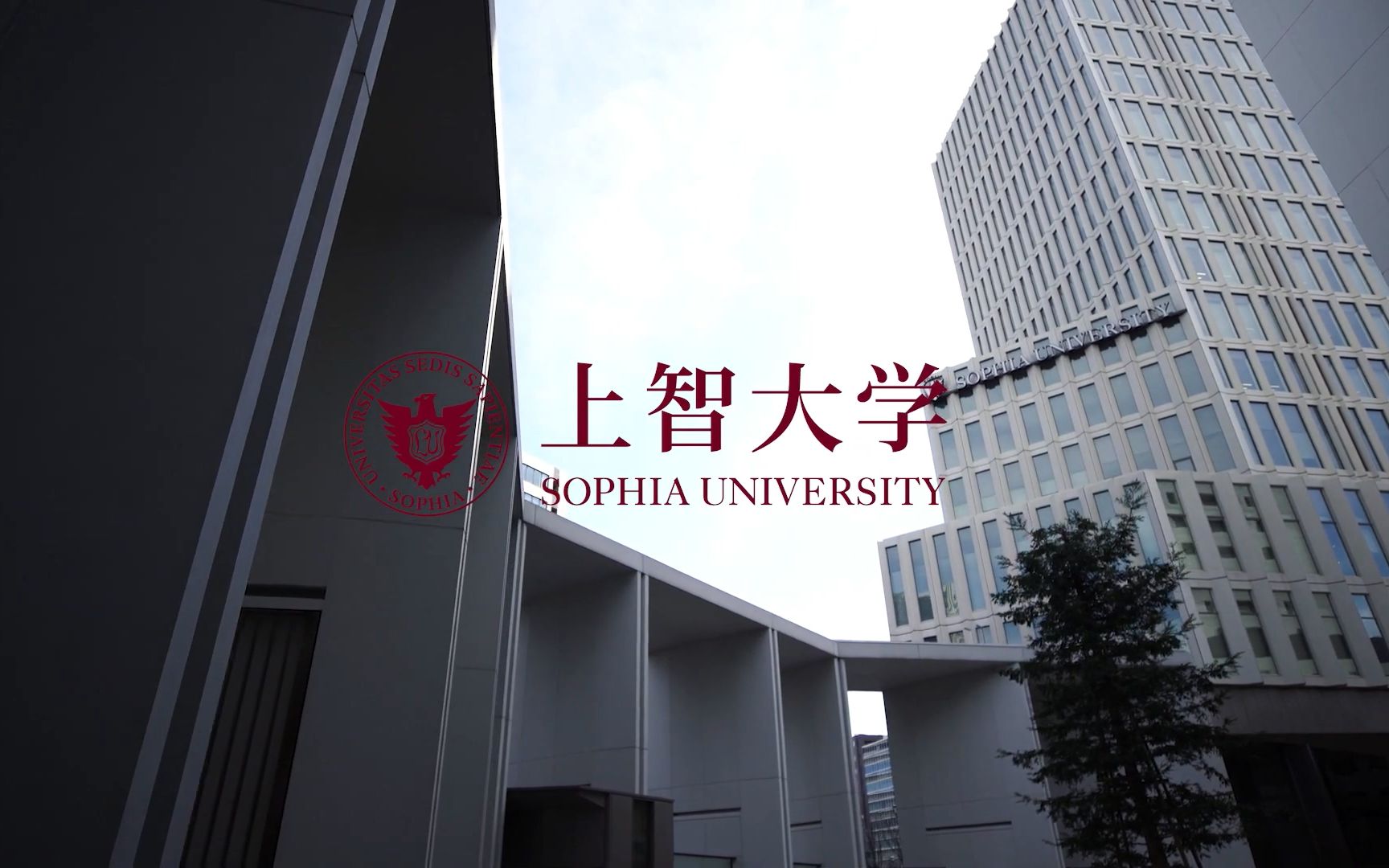 日语 生肉 中字 上智大学 短片 19年度卒業生 修了生の皆様へ 学長からのメッセージ 哔哩哔哩 つロ干杯 Bilibili