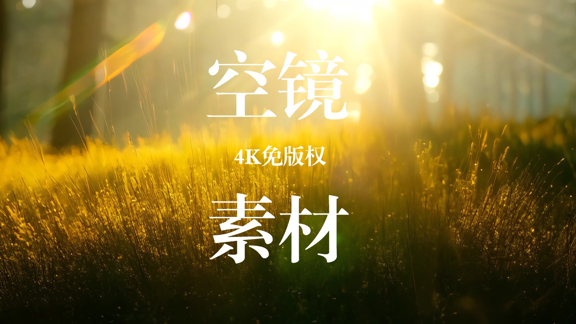 【4K免版权空镜】唯美森林雪山太阳视频素材