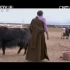 央视纪录片《行走西藏》第二集 青藏线