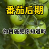 农业种植技术分享