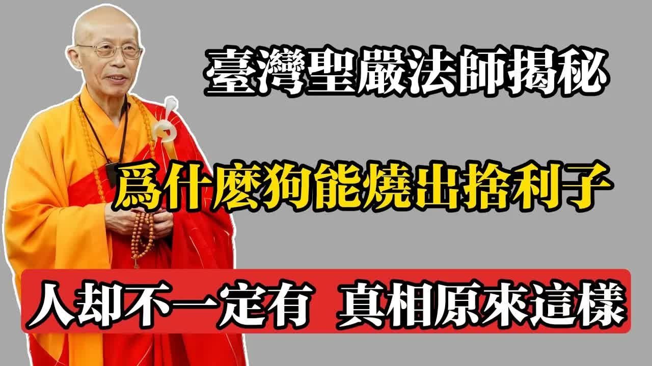 臺灣聖嚴法師揭秘：為什麼狗能燒出舍利子，人卻不一定有，真相原來是這樣！#聖嚴法師 #佛教 #佛法 #佛教玄學 #佛教智慧 #佛學知識 #佛學智慧 #修心修行 #