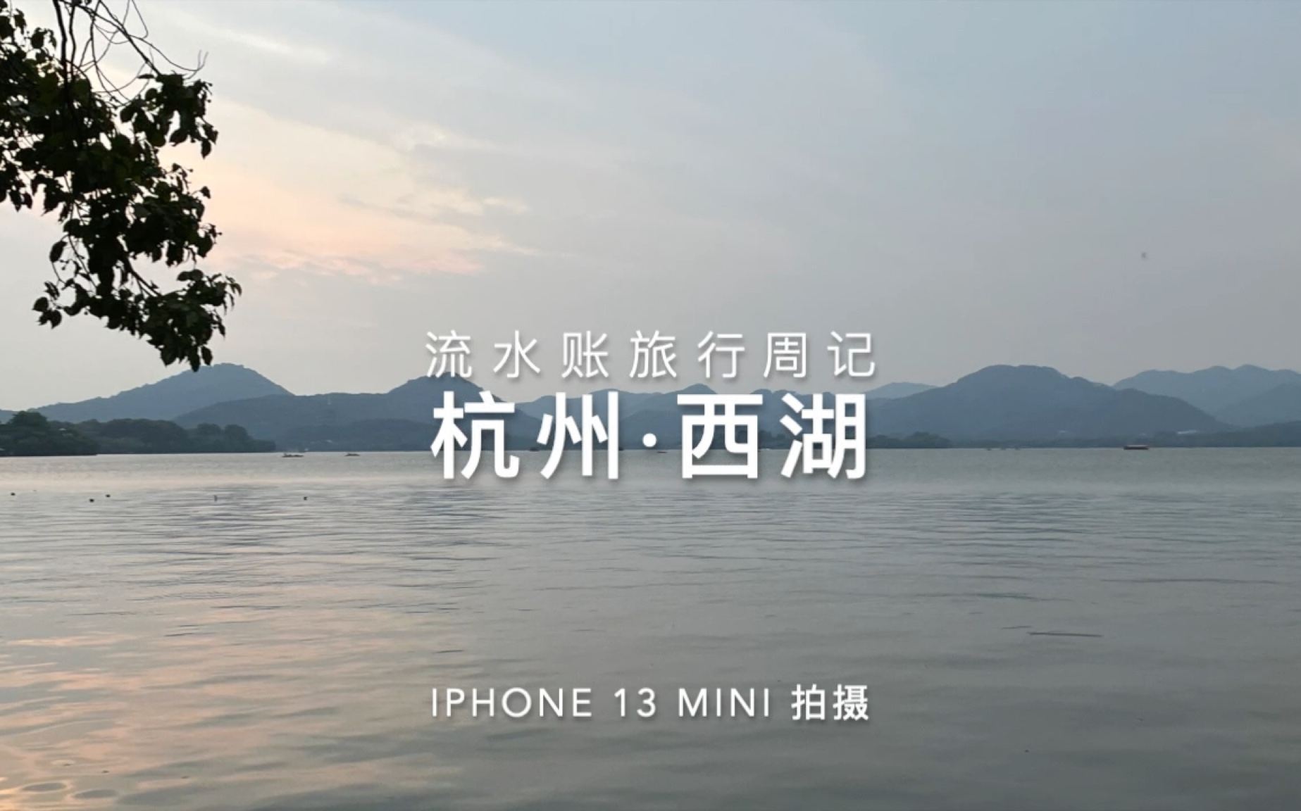 杭州西湖区办银行流水 B站