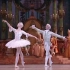 【芭蕾】巴黎歌剧院芭蕾舞团《睡美人》2000年 Manuel Legris Aurélie Dupont