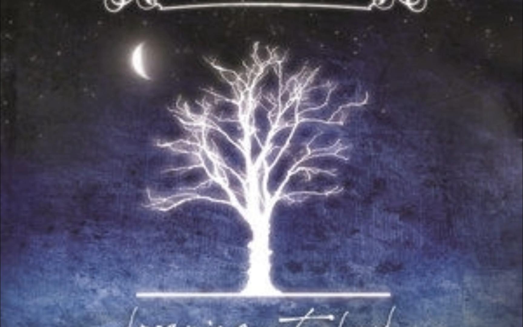 Apologize----OneRepublic 和声版伴奏