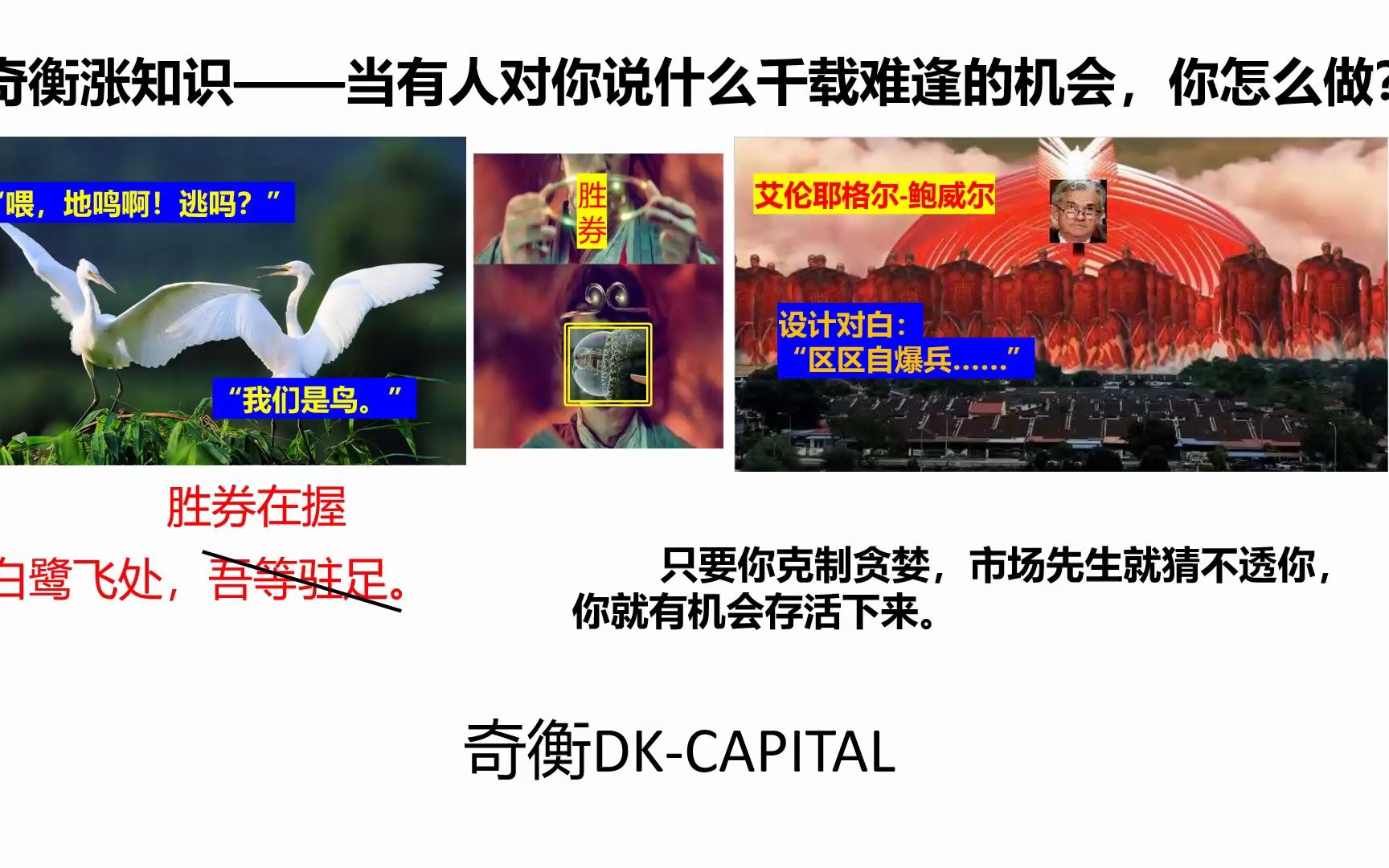 249 如果你《投知日历2023》坚持到了20：48秒就甜蜜蜜了