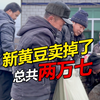 今年新收的黄豆卖了 60亩地卖了不到三万元