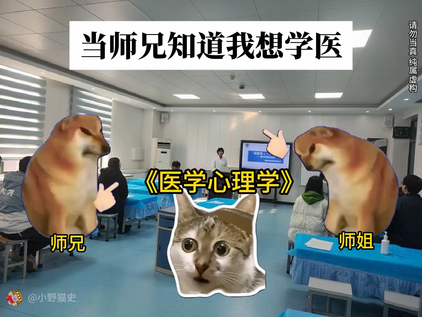 劝人学医天打雷劈 #猫meme#小野猫史