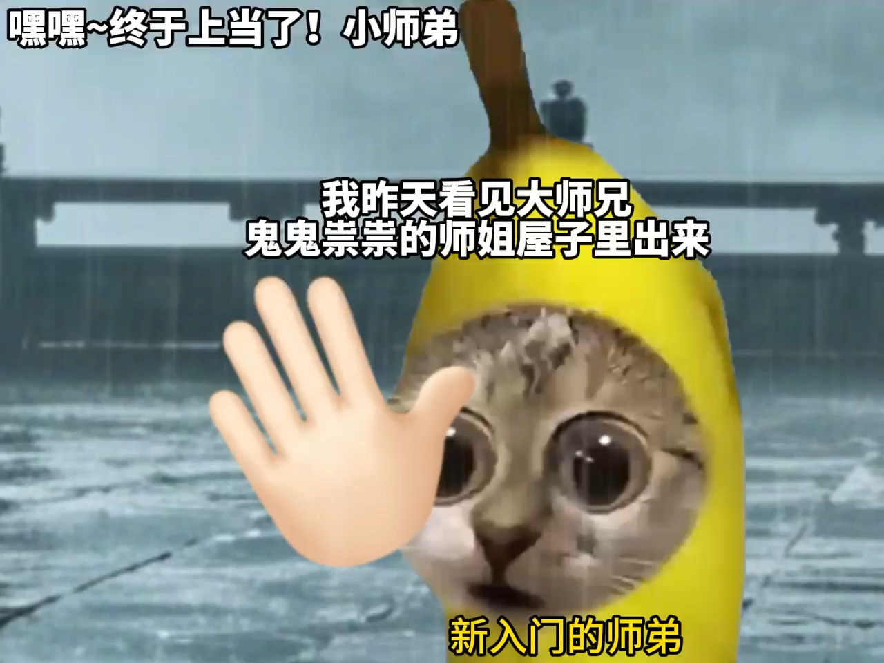 大师兄我啊！最不记仇了…