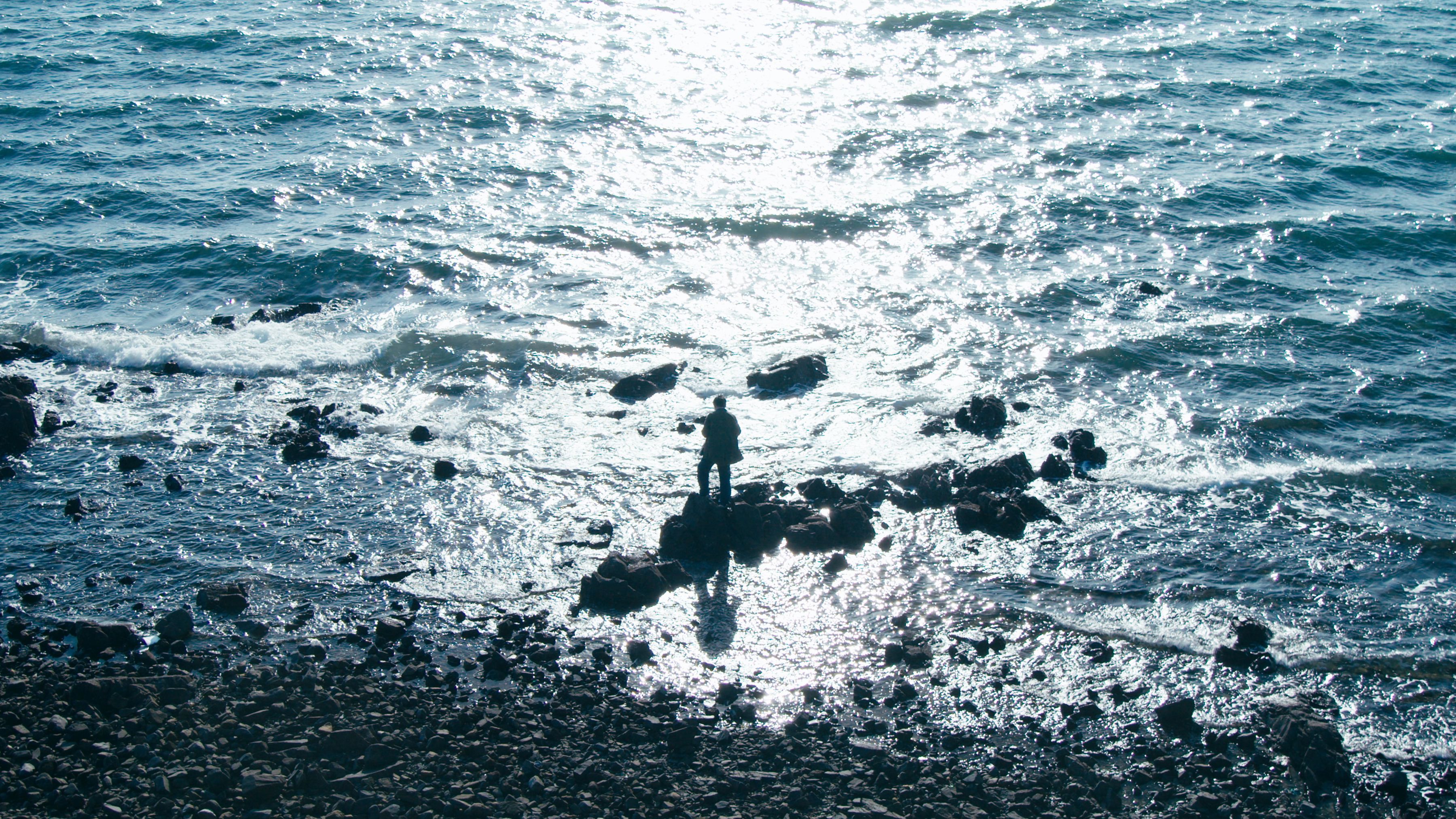 “那天，我在海边做了一场梦”