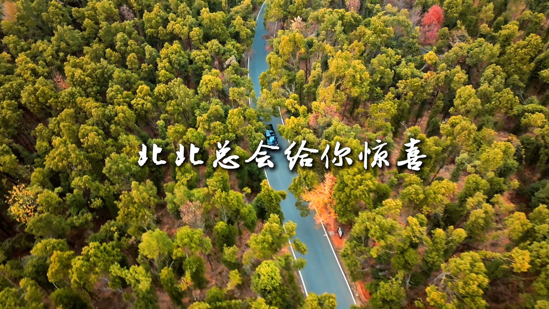 来都来了，要不要北北给你们咩🐏一声~