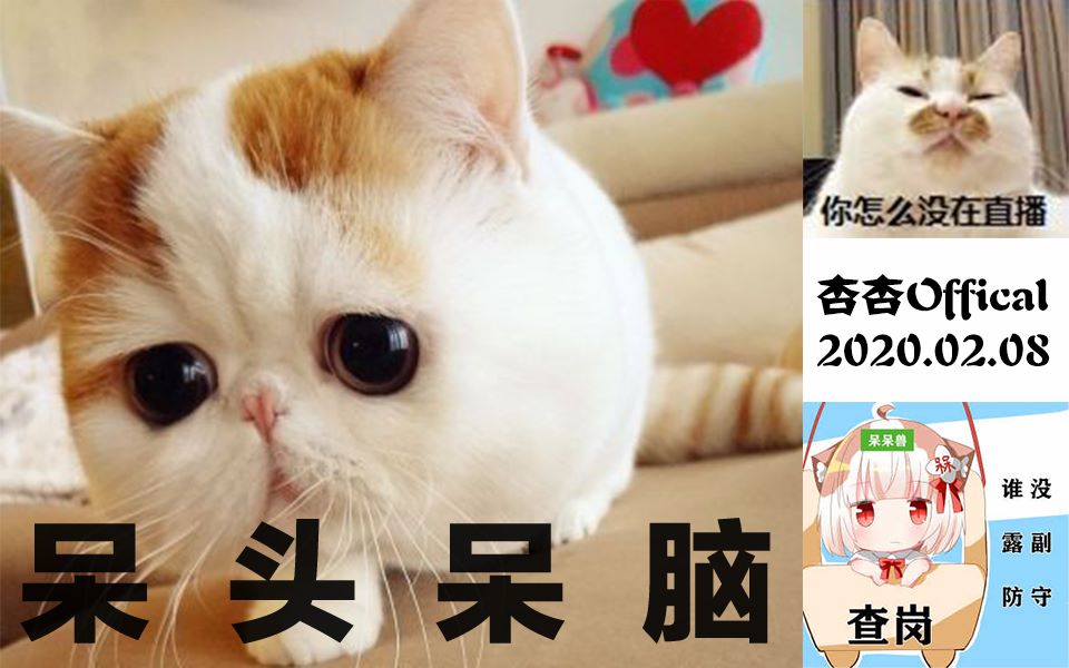 呆头呆脑第83期对呆擂台2讲谱蛋饼阿嘞嘞东哥露诺琪20200208