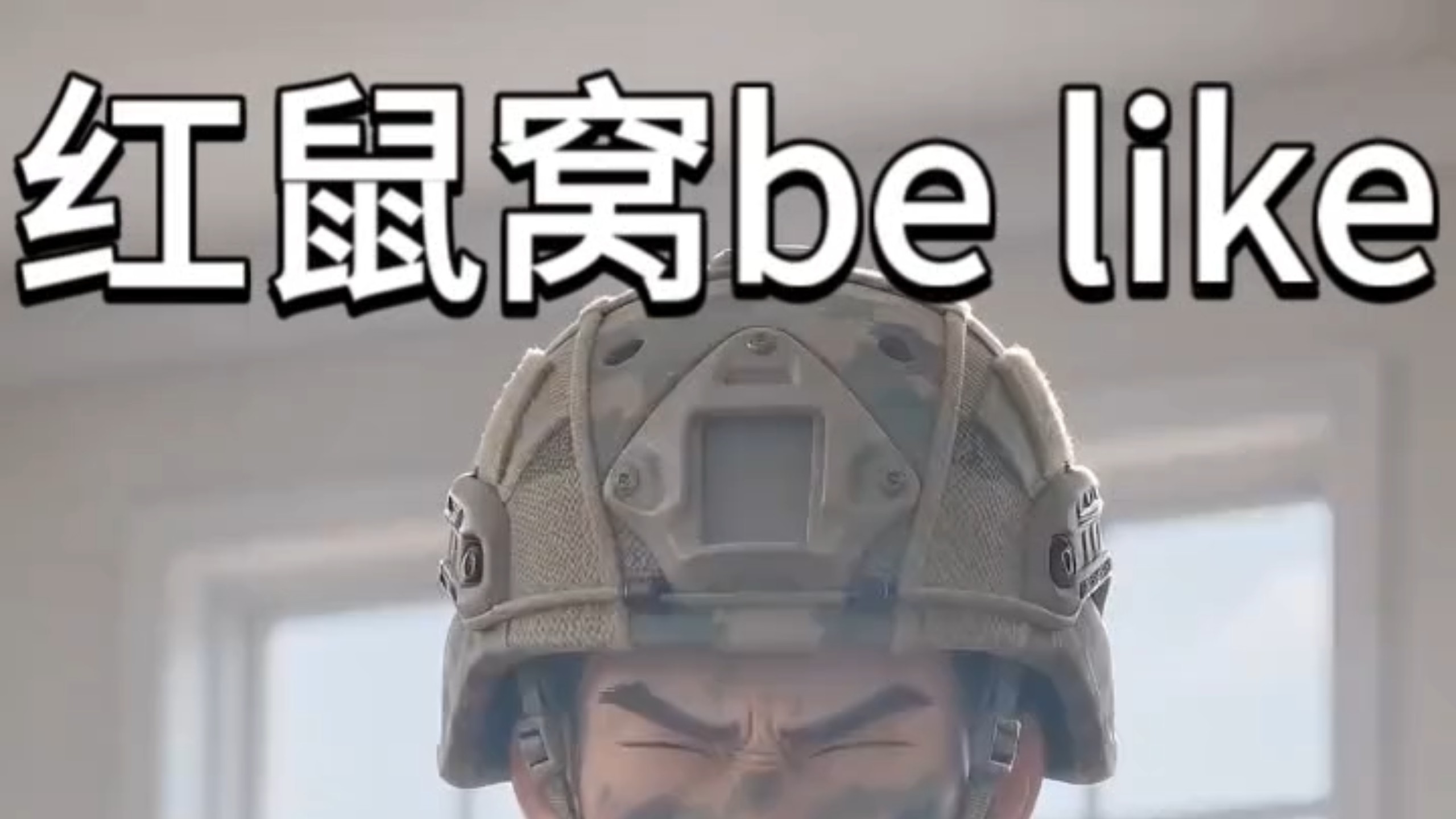 红鼠窝be like