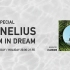 Cornelius “Dream In Dream” J-WAVE Special