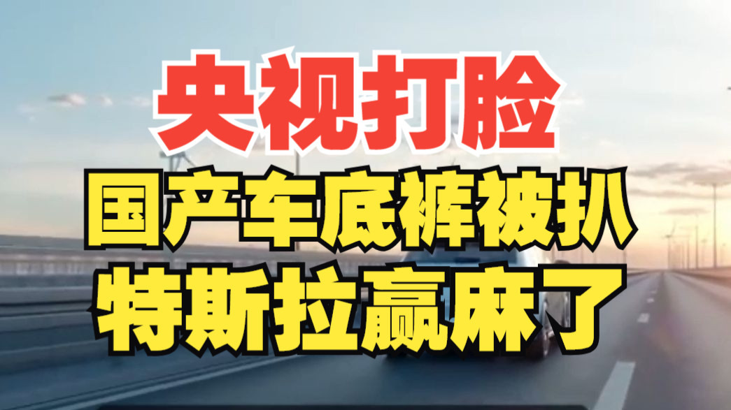 国产车全军覆没！央视与懂车帝智驾测试！特斯拉包揽前两名！