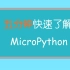 MicroPython教程01：认识MicroPython&上手开发板