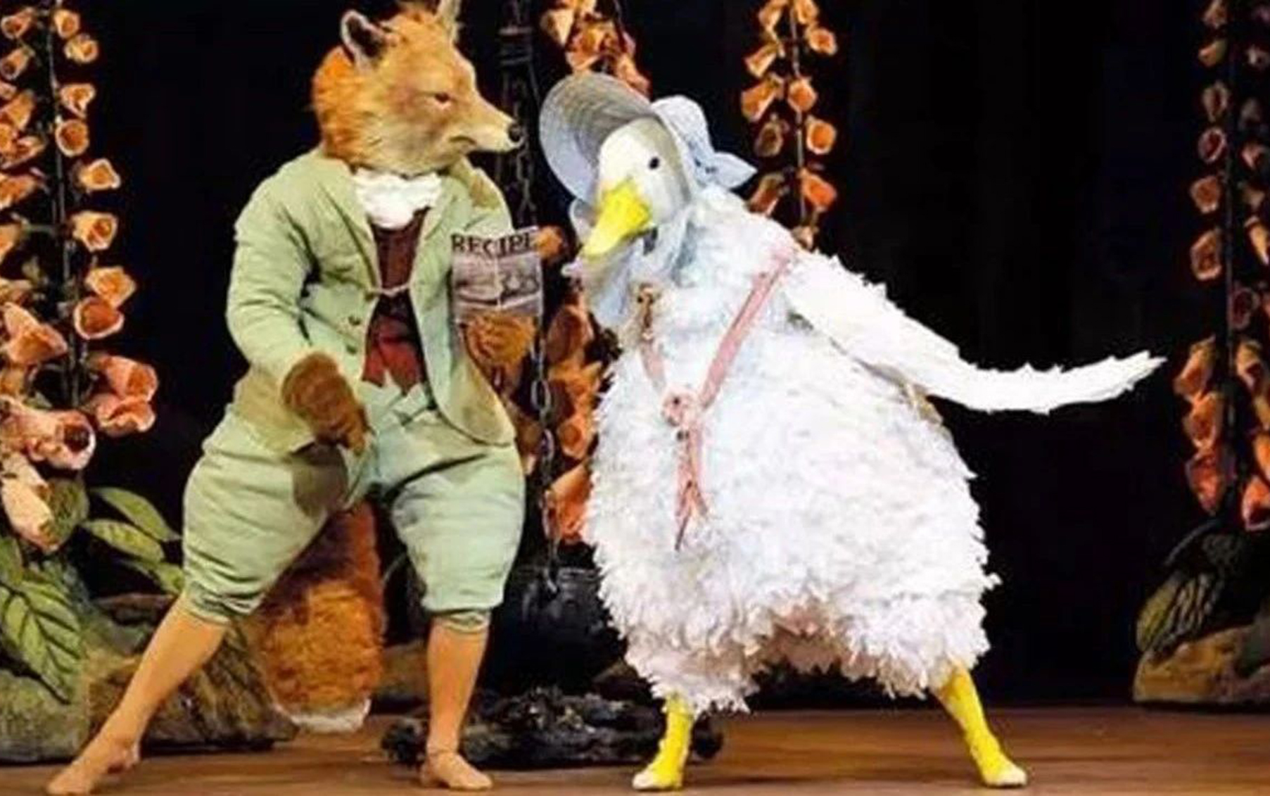 每当心情不好，我就会看这支舞蹈 | 彼得兔的魅力谁能拒绝