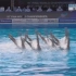 2022国际泳联世锦赛 花样游泳 夺冠时刻！！！