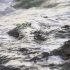 空镜头视频 海浪礁石螃蟹浪花 素材分享