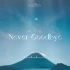 nct dream北极星（never goodbye）钢琴版