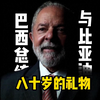 巴西总统与比亚迪