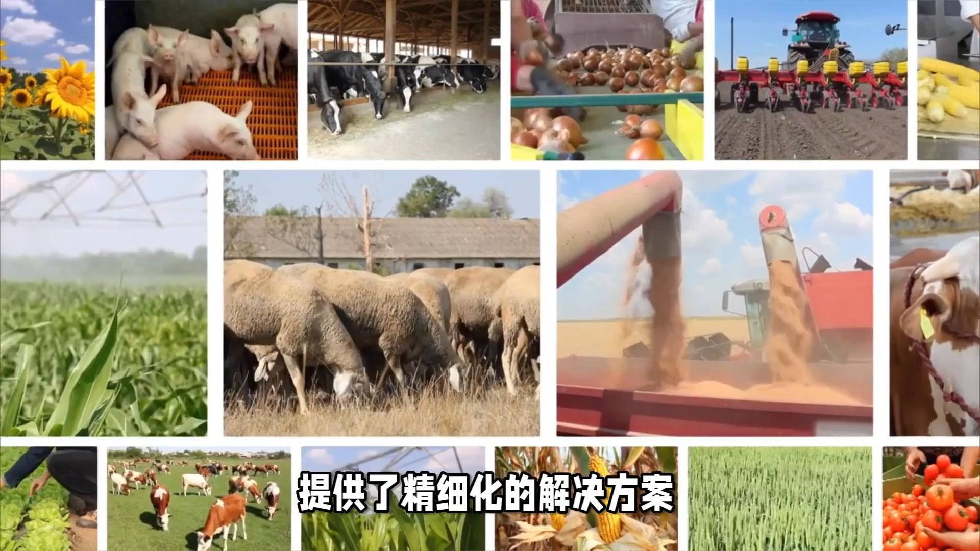 安达发｜食品原料配料APS生产管理软件剖析