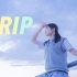 【生煎】- Trip -【COJI TORI五周年应援】
